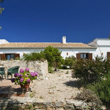 Monte Do Alamo - Turismo Rural Tavira Ngoại thất bức ảnh