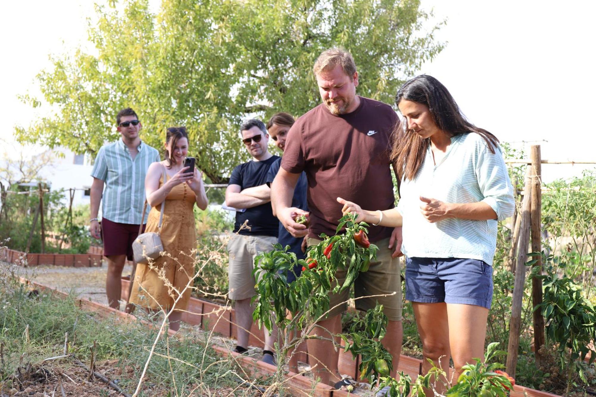 Monte Do Alamo - Turismo Rural Tavira Ngoại thất bức ảnh